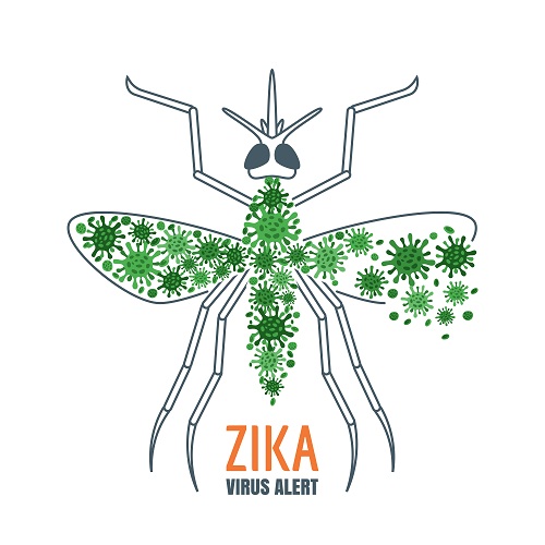 Zika Virus